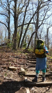 Spring hiking, few leaves